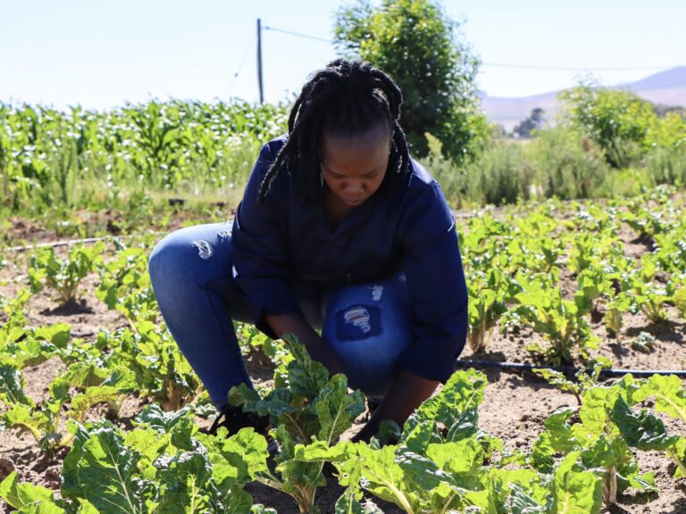 All About Agripreneurs