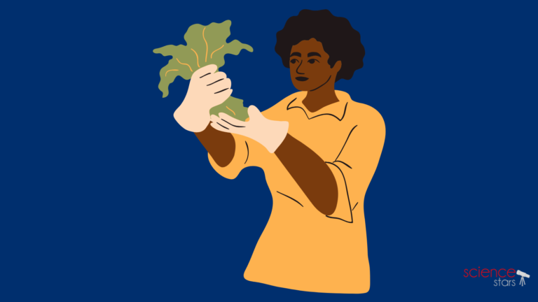 Top 5 Technological Innovations in Agriculture